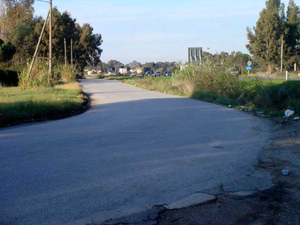 articlePhoto