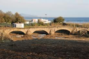 articlePhoto