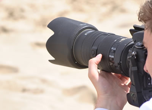 articlePhoto